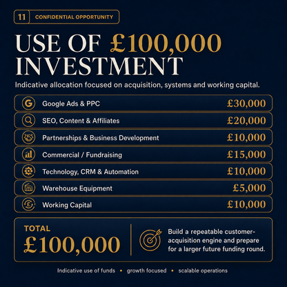 Proposed use of £100,000 investment for Google Ads, SEO, partnerships, technology and business growth