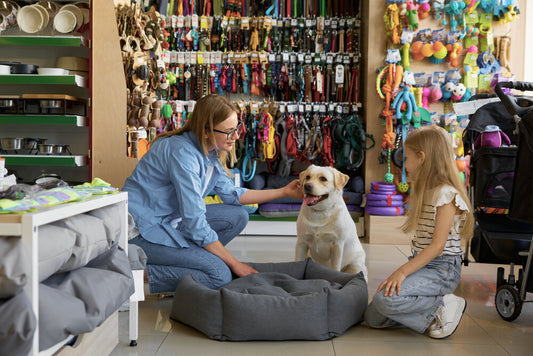 Australian online pet supplies store showcasing premium pet food, toys, and grooming products available for nationwide delivery.