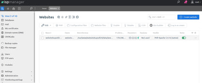 Web hosting control panel with 'Websites' section on a computer screen